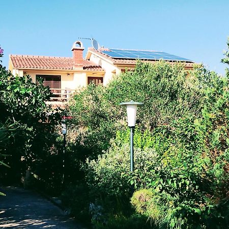 Adria Apartments Sveti Filip i Jakov Dış mekan fotoğraf