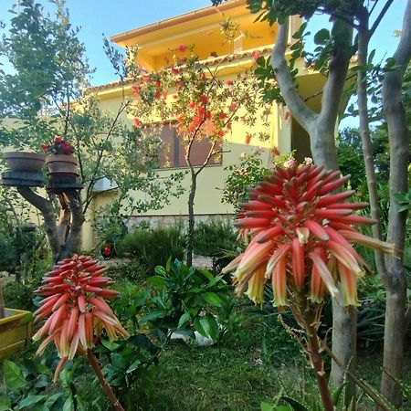 Adria Apartments Sveti Filip i Jakov Dış mekan fotoğraf