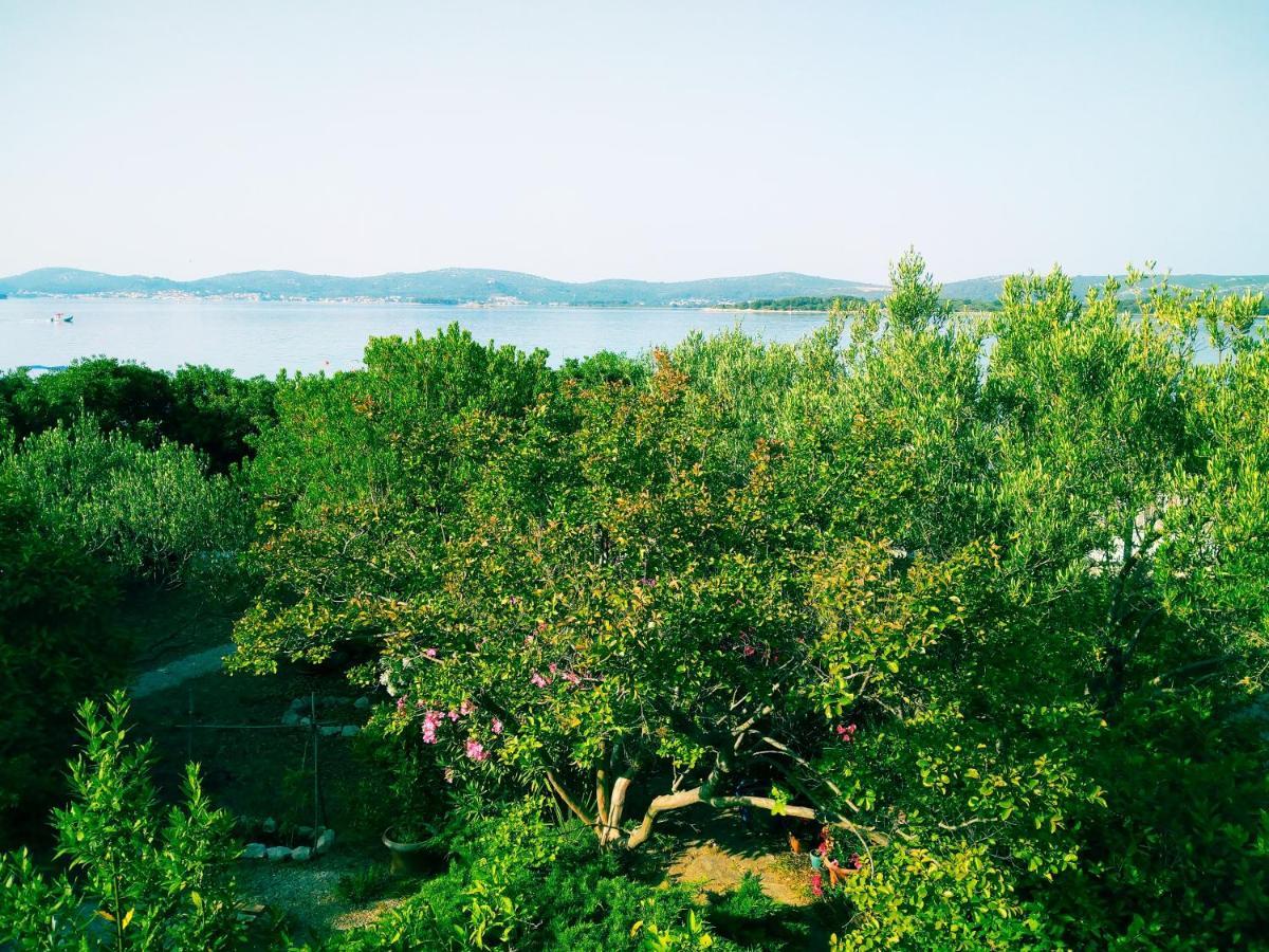 Adria Apartments Sveti Filip i Jakov Dış mekan fotoğraf