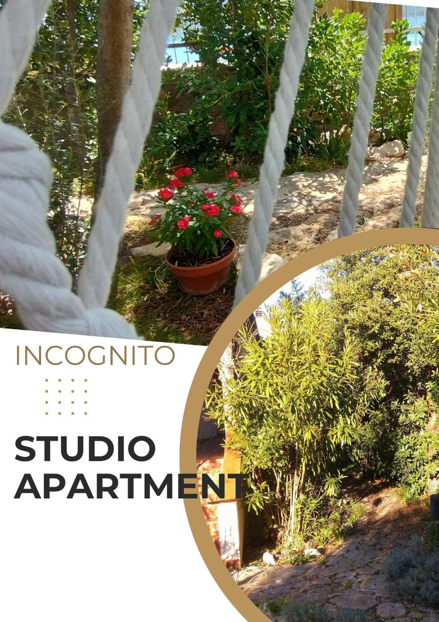 Adria Apartments Sveti Filip i Jakov Dış mekan fotoğraf