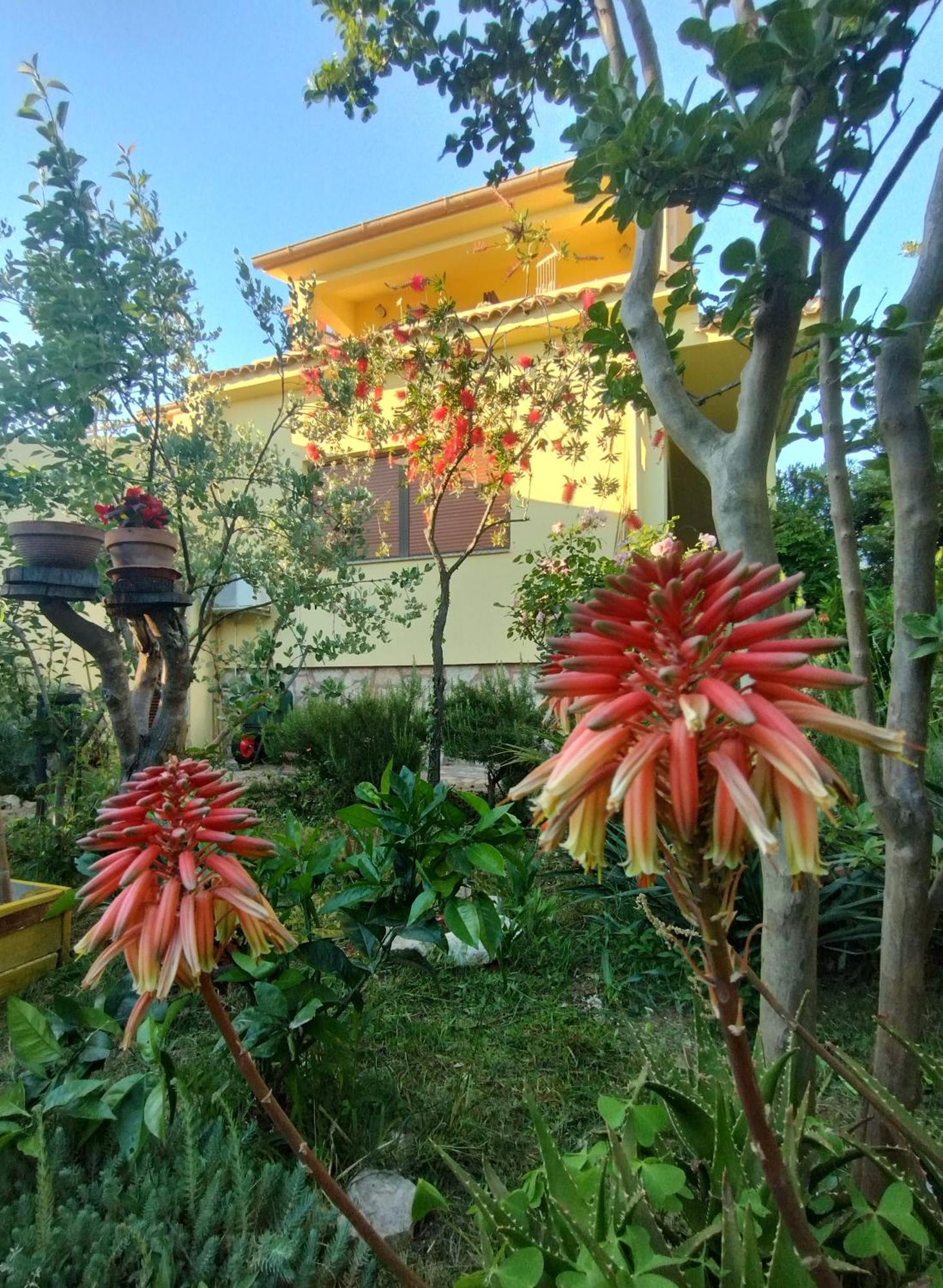 Adria Apartments Sveti Filip i Jakov Dış mekan fotoğraf
